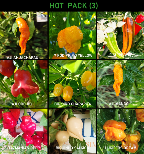 HOT PACK , 9 chiles picantes,90 semillas, pack(3)