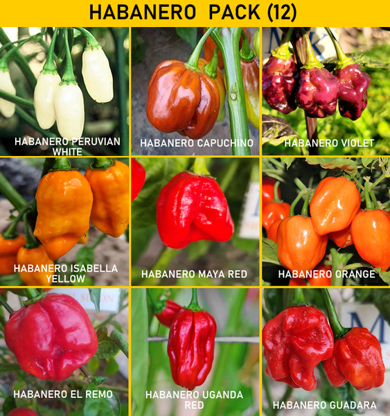 Habanero Pack ,9 variedades,90 semillas,PACK (12)