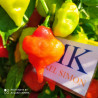 Billy Goat , 10 semillas , Capsicum chinense (80)