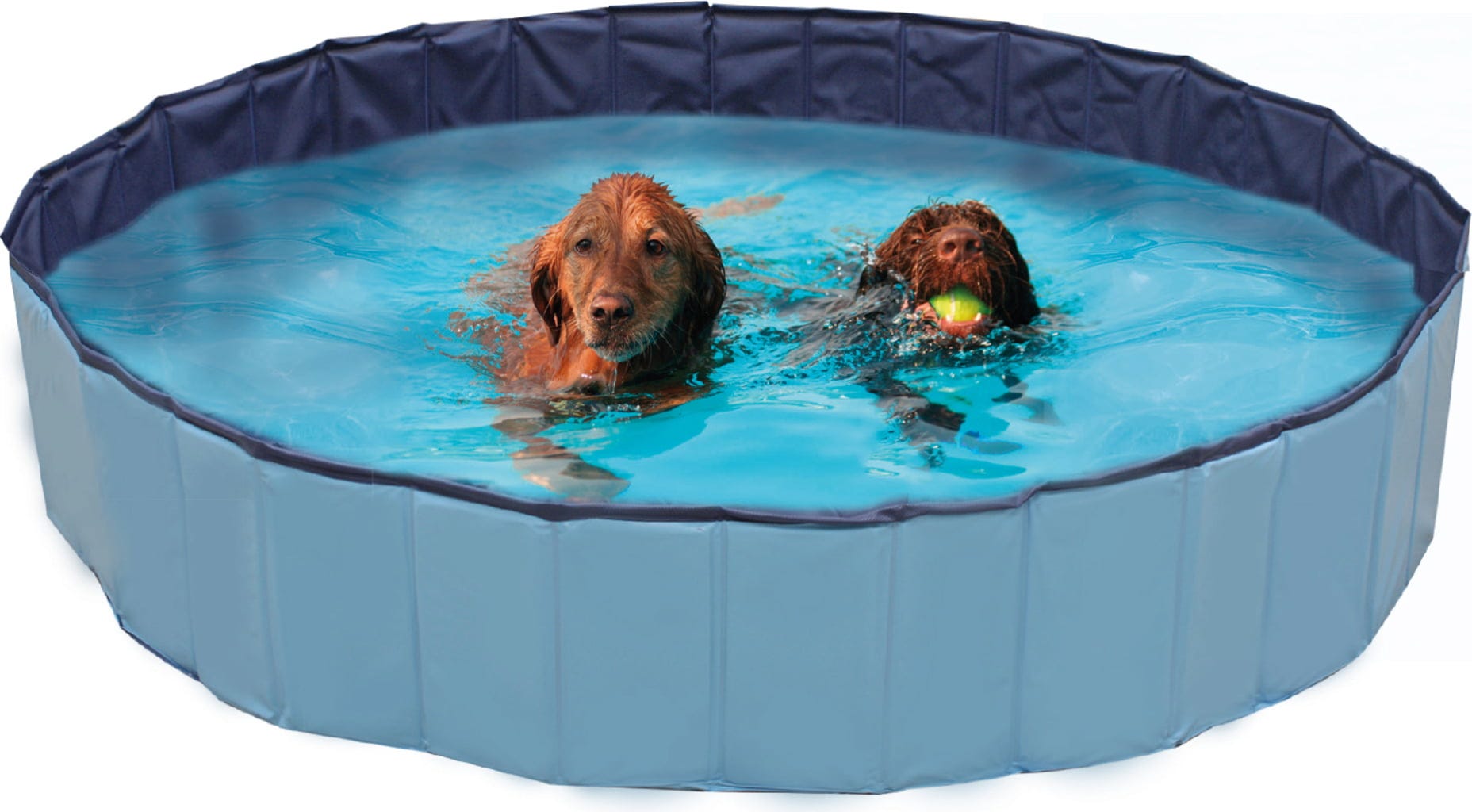 Croci Hunde Pool Explorer - 120x30 cm