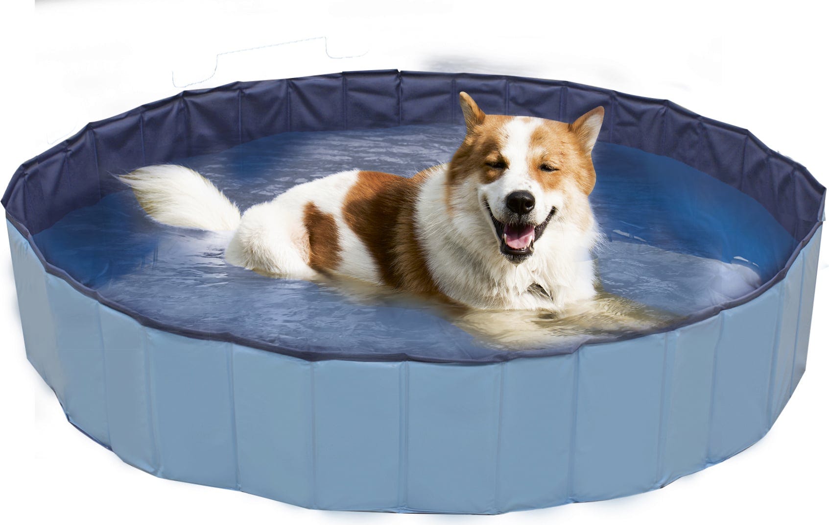Croci Hunde Pool Explorer - 160x30 cm