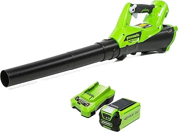 Greenworks G40ABK2 Soplador de Hojas a Batería Axial, con Control de Crucero, 177 km/h, 11,05 m³/min, Batería de 40V 2Ah y Cargador, Garantía de 3 Años