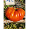 Tomate Beauty of Poitou , 10 semillas (280)