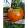 Tomate Berkeley Tie Dye Red , 10 semillas (252)