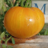 Tomate Big Yellow Zebra , 10 semillas (94)
