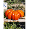 Tomate  Coeur De Boeuf De Nice, 10 semillas (206)