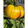 Tomate George Detsika's Italian Red , 10 semillas (293)