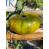 Tomate Jarson 18, 10 semillas (148)