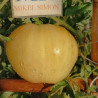Tomate King of Siberia , 10 semillas (79)