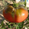 Tomate Lavender Lake , 10 semillas (92)