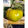 Tomate Liusinda , 10 semillas (142)