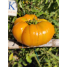Tomate Mary Reynolds , 10 semillas (317)