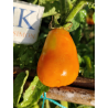 Tomate Mila , 10 semillas  (264)