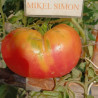 Tomate Northern Light , 10 semillas (100)