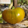Tomate Verte d'Huy , 10 Semillas (399)