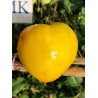 Tomate Weiber Riese , 10 semillas (80)