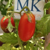 Tomate Wonderful Banane , 10 semillas (70)