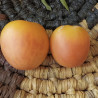 Tomate Zhaoming , 10 semillas (37)