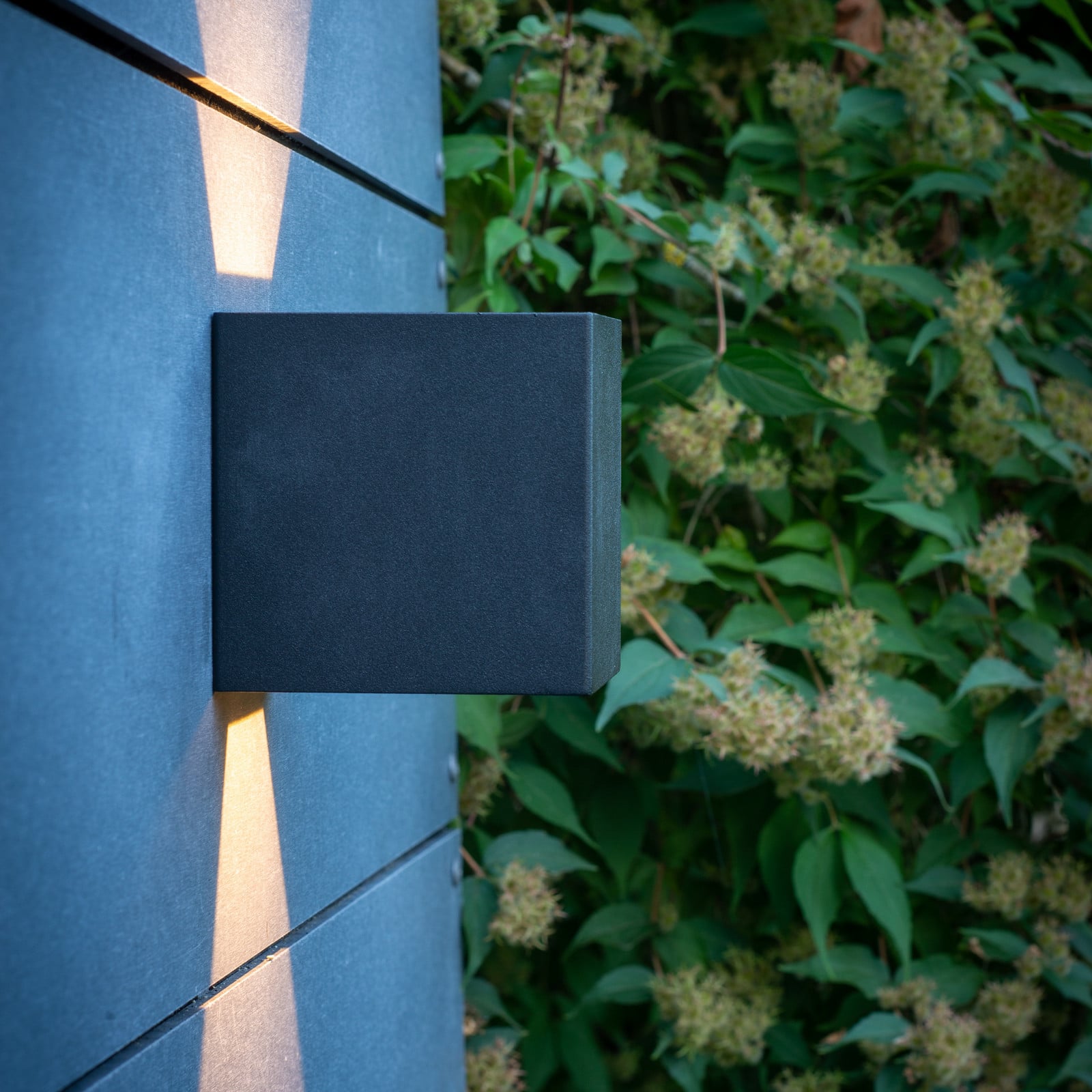 Venus Aplique de pared Exterior Negro - Dyberg Larsen - Moderno - Metal - Angular